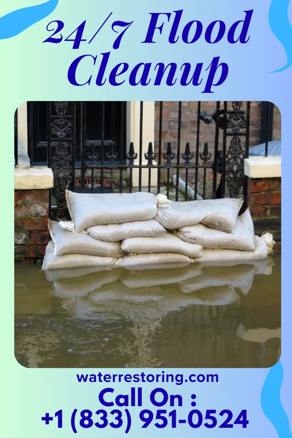 24/7 Flood Cleanup in Viborg, SD