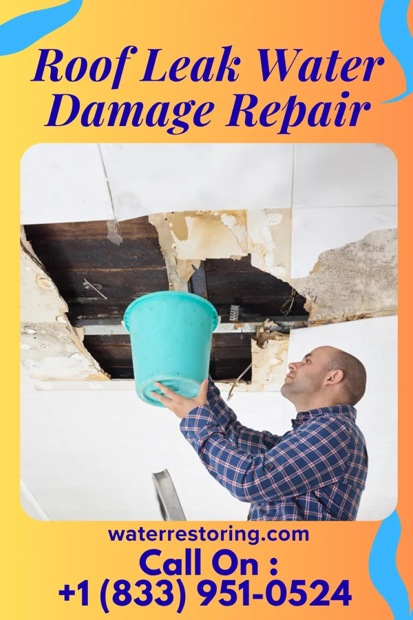 Roof Leak Water Damage Repair in Viborg, SD
